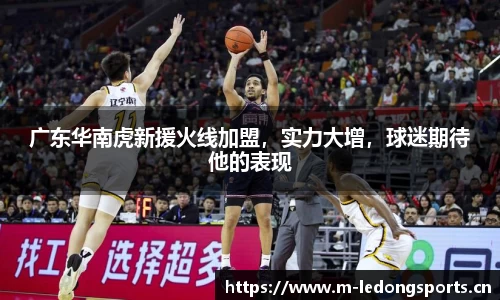 ld乐动体育平台
