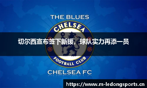 切尔西宣布签下新援，球队实力再添一员